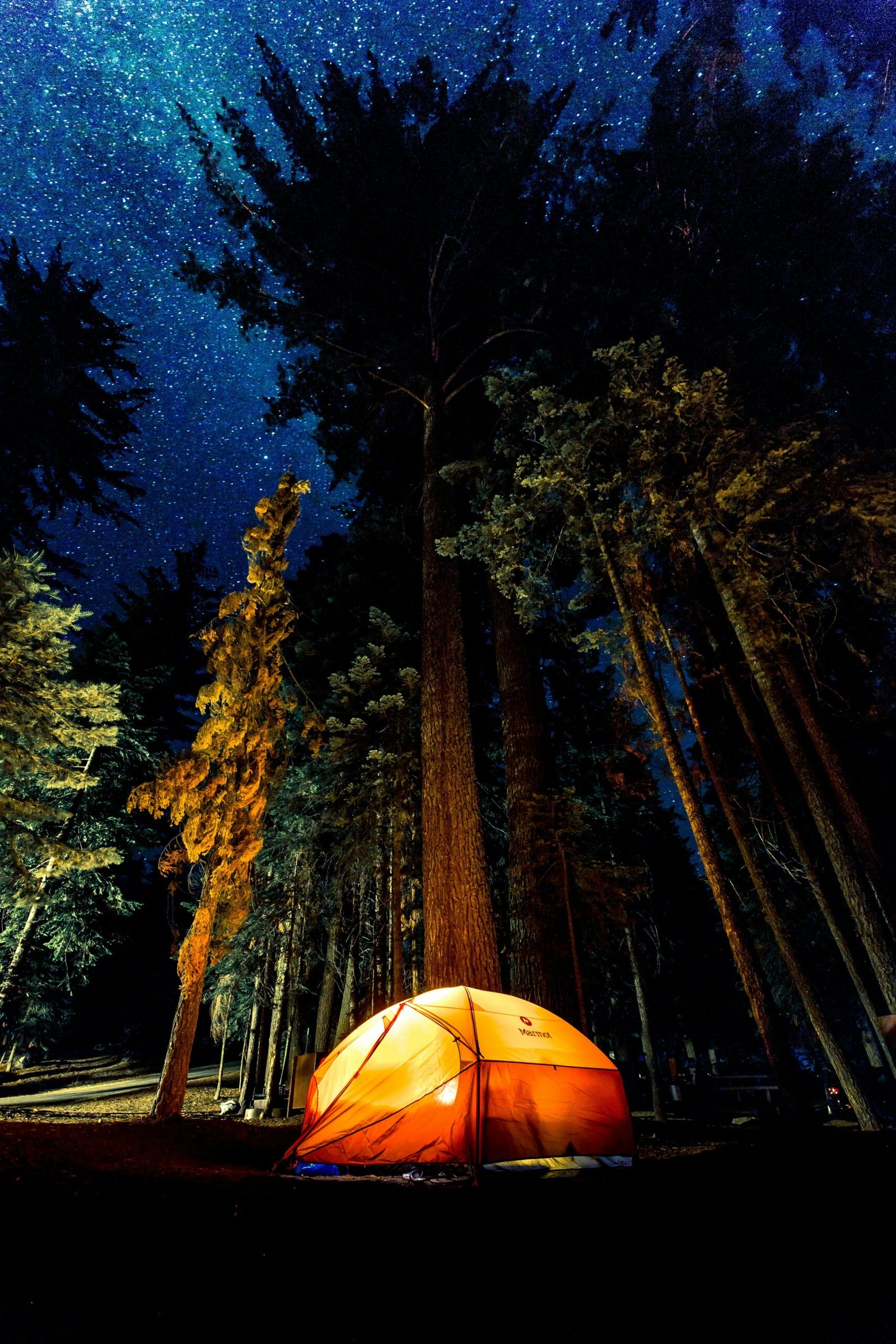 denys nevozhai 63Znf38gnXk unsplash scaled