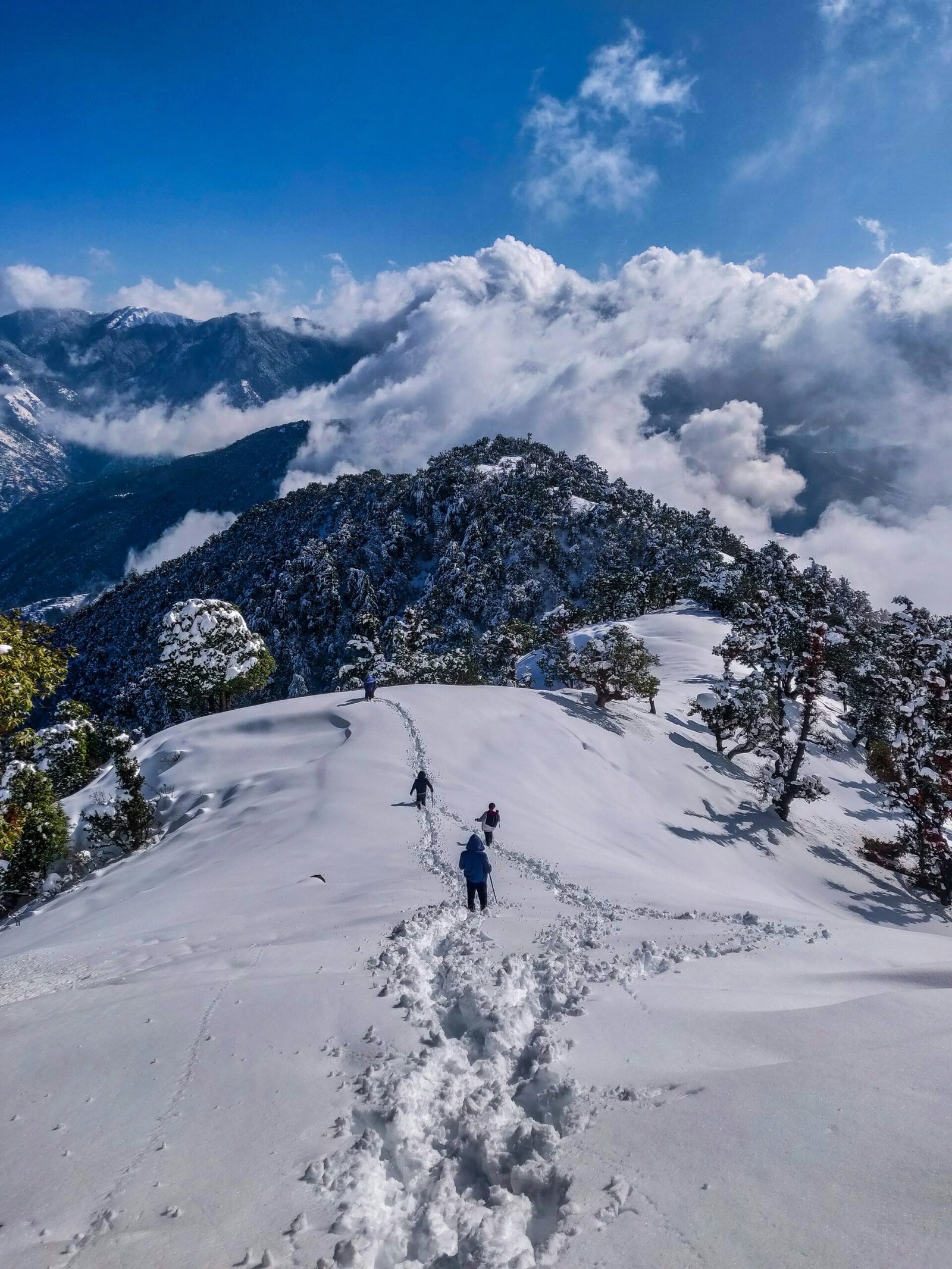 tejashvi verma HnlNbNsiJz0 unsplash scaled